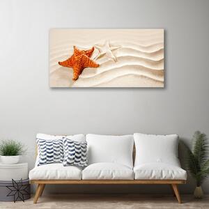 Obraz Canvas Hviezdice na piesku pláž 100x50 cm