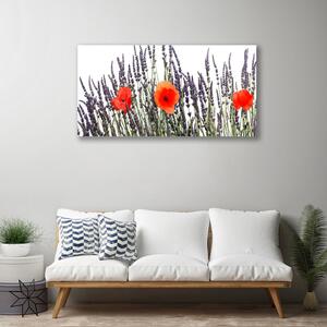 Obraz Canvas Kvety maky pole trávy 100x50 cm