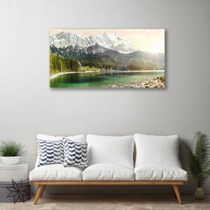 Obraz Canvas Hory les jazero príroda 100x50 cm