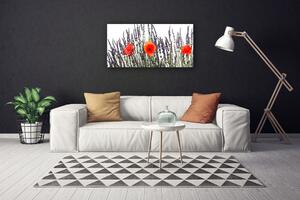 Obraz Canvas Kvety maky pole trávy 100x50 cm