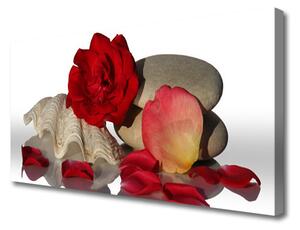 Obraz Canvas Ruže plátky mŕtva príroda 100x50 cm