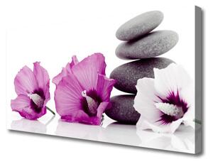Obraz Canvas Kvety kamene zen kúpele 100x50 cm