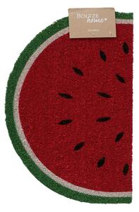 Vnútorná rohožka Melone, 60x40 cm