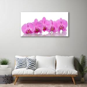 Obraz Canvas Ružová orchidea kvety 100x50 cm