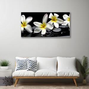 Obraz Canvas Kamene kvety kúpele 100x50 cm