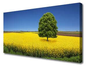 Obraz Canvas Lúka strom príroda pole 100x50 cm