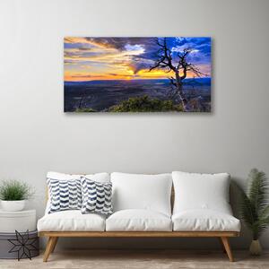 Obraz Canvas Strom zápas slnko 100x50 cm