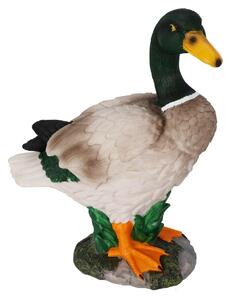 ProGarden Záhradná figúrka z polistone Duck1, 26,5x21 cm, viacfarebná