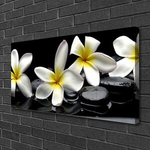Obraz Canvas Kamene kvety kúpele 100x50 cm