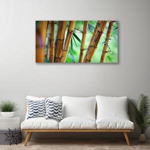 Obraz na plátne Bambus príroda rastlina 100x50 cm