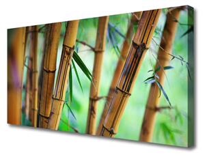 Obraz na plátne Bambus príroda rastlina 125x50 cm