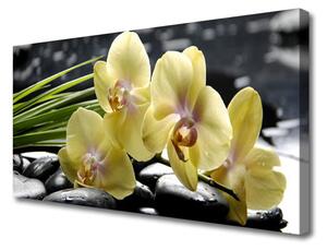 Obraz na plátne Kvety rastlina príroda 125x50cm