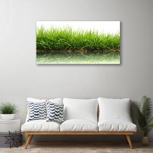 Obraz na plátne Tráva voda príroda rastlina 100x50 cm
