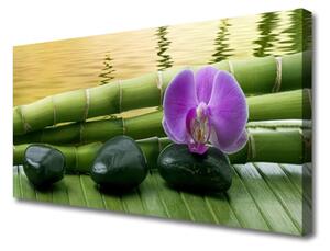 Obraz na plátne Kvet kamene bambus príroda 125x50 cm
