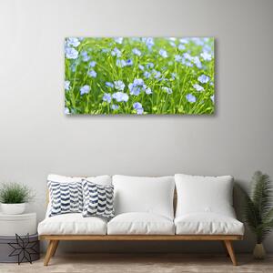 Obraz na plátne Kvety tráva rastlina príroda 100x50 cm