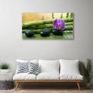 Obraz na plátne Kvet kamene bambus príroda 100x50 cm