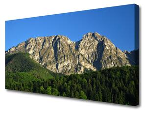 Obraz na plátne Hora les príroda 125x50 cm
