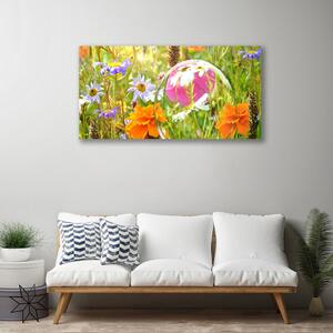 Obraz na plátne Kvety rastlina príroda 100x50 cm