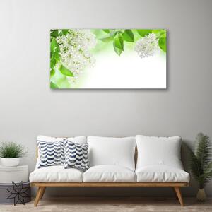 Obraz na plátne Plátky rastlina príroda 100x50 cm