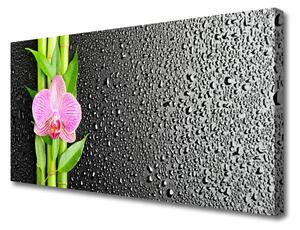 Obraz na plátne Bambus stonky kvet rastlina 100x50 cm