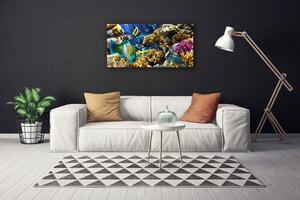 Obraz na plátne Koralový útes príroda 100x50 cm