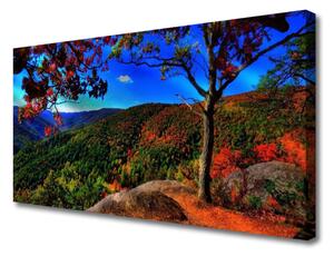 Obraz na plátne Hora les príroda 100x50 cm