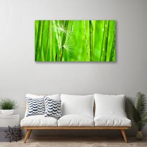 Obraz na plátne Tráva rastlina príroda 100x50 cm