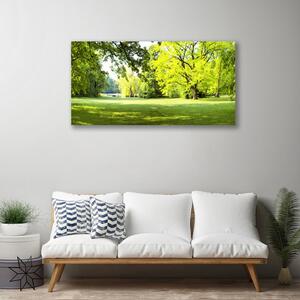Obraz Canvas Tráva stromy park príroda 100x50 cm
