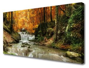 Obraz Canvas Vodopád les príroda 100x50 cm