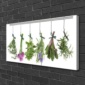 Obraz Canvas Plátky rastlina kuchyňa 100x50 cm