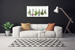 Obraz Canvas Plátky rastlina kuchyňa 100x50 cm