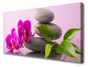 Obraz Canvas Kvet kamene zen rastlina 125x50 cm
