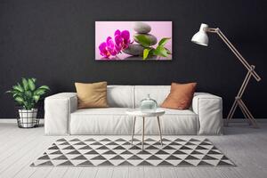 Obraz Canvas Kvet kamene zen rastlina 100x50 cm