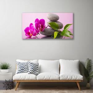 Obraz Canvas Kvet kamene zen rastlina 100x50 cm