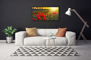 Obraz Canvas Lúka maky rastlina príroda 100x50 cm