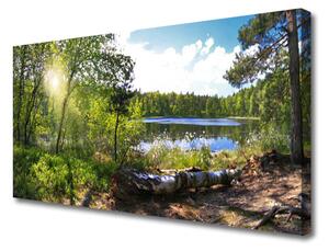 Obraz Canvas Les stromy jazero príroda 125x50 cm