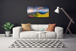 Obraz Canvas Hory slnko lúka krajina 100x50 cm