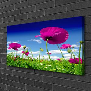 Obraz Canvas Lúka kvety nebo príroda 100x50 cm