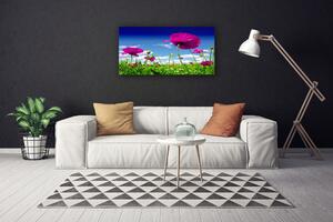 Obraz Canvas Lúka kvety nebo príroda 100x50 cm