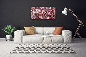 Obraz Canvas Vetvy kvety rastlina 100x50 cm