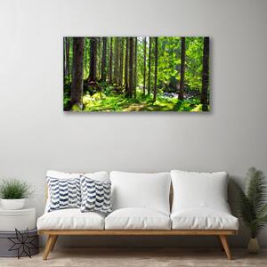 Obraz Canvas Les stromy rastlina príroda 100x50 cm