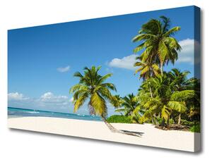 Obraz Canvas Pláž palma more krajina 125x50 cm