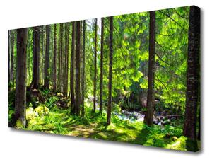 Obraz Canvas Les stromy rastlina príroda 100x50 cm
