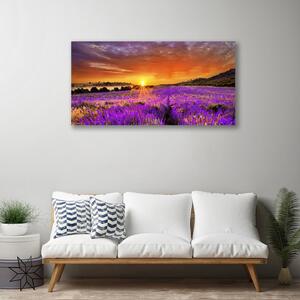 Obraz Canvas Západ slnka pole levanduľa 100x50 cm