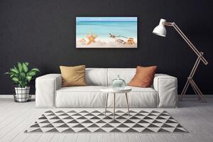 Obraz Canvas Hviezdice mušle pláž 100x50 cm