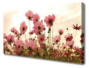 Obraz Canvas Poľné kvety lúka príroda 125x50cm