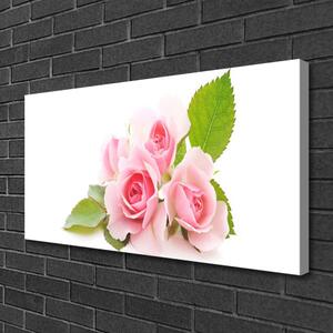 Obraz Canvas Ruže kvety príroda 100x50 cm