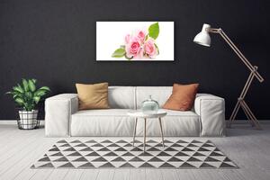 Obraz Canvas Ruže kvety príroda 100x50 cm
