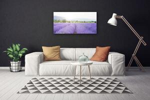Obraz Canvas Pole levanduľa príroda lúka 100x50 cm