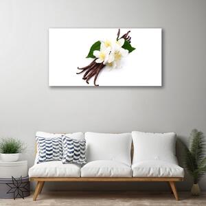 Obraz Canvas Vanilková tyčinka do kuchyne 100x50 cm